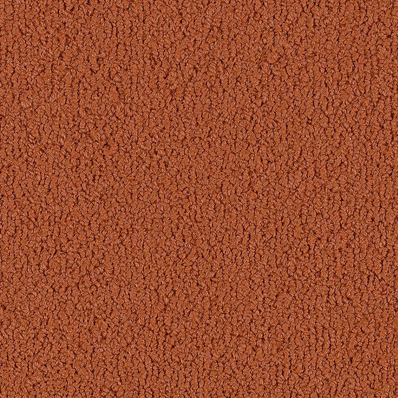 2B136-258 - Aladdin Commercial - Color Pop 12 x 36 - Cajun Spice