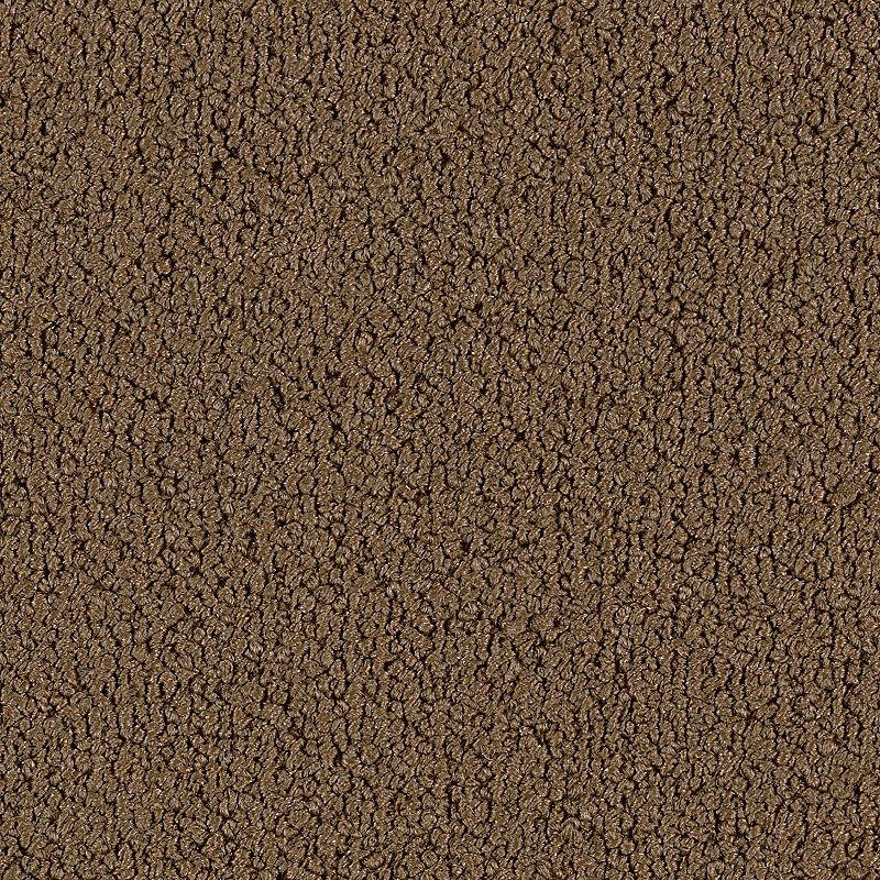 2B136-862 - Aladdin Commercial - Color Pop 12 x 36 - Tree Bark