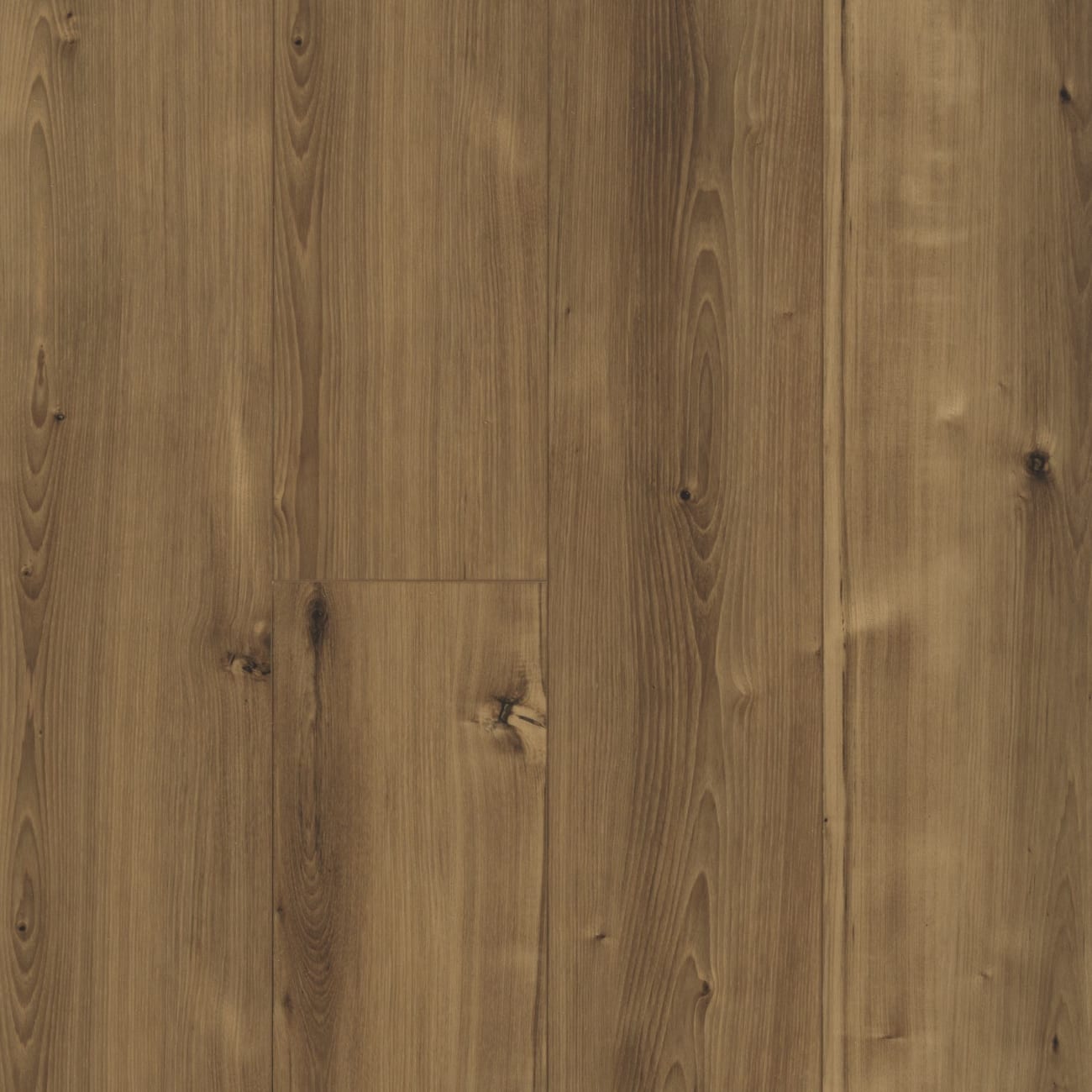 06000_2008V - Shaw - Allegiance Plus Accent - Barnwell Hickory