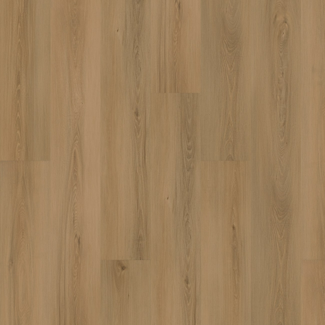 SDP11-480 - Mohawk Solidtech Plus - Eastbrook Shoals - Laine