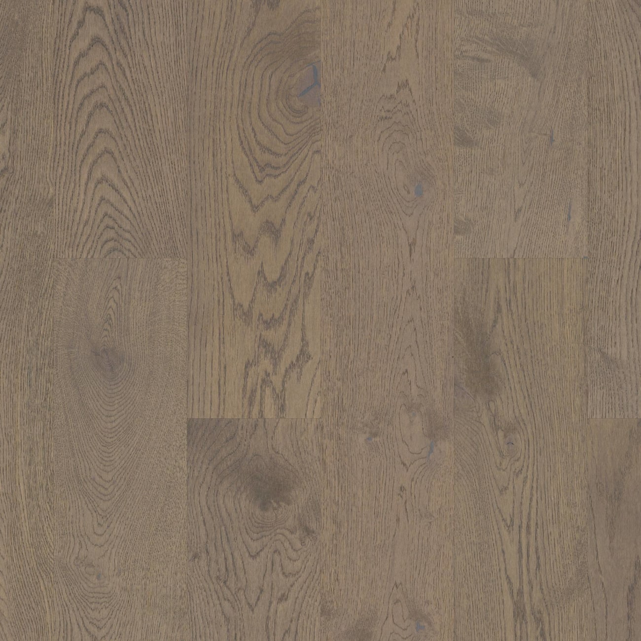 SW485-00508 - Shaw - Castlewood Oak - Armory