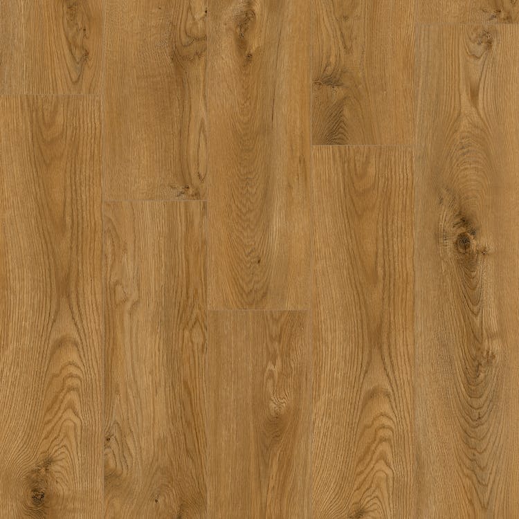 CHRT-29010 Phoenix Sand - Mannington - Charter Collection 8" - Phoenix Sand