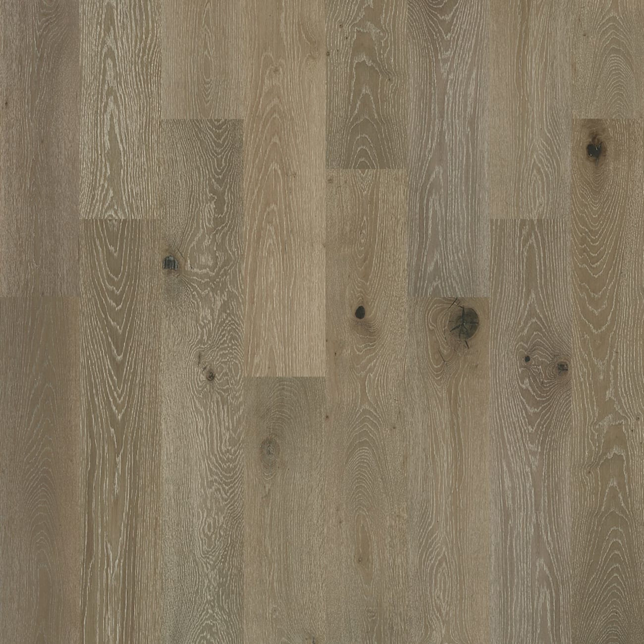 SW485-05022 - Shaw - Castlewood Oak - Palisade