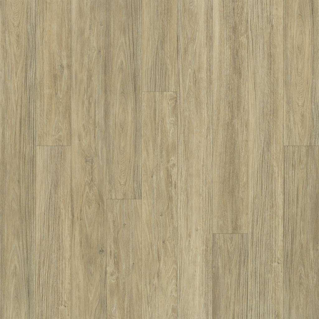 00124_2576V - Shaw Floorte - Alto Plus - Carbonaro