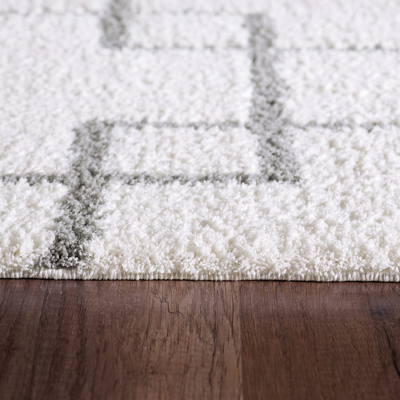 SI245901119 - Dynamic Rugs - SILKY SHAG - Ivory Silver 5901-119 - 2' x 3.3'
