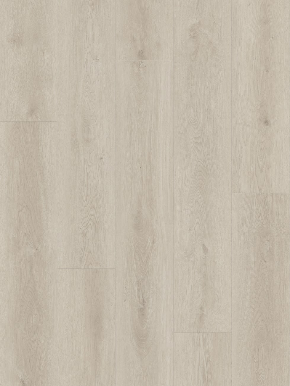 LI-CH04 - Lions Floor - Comfort Heights - Boardwalk Court