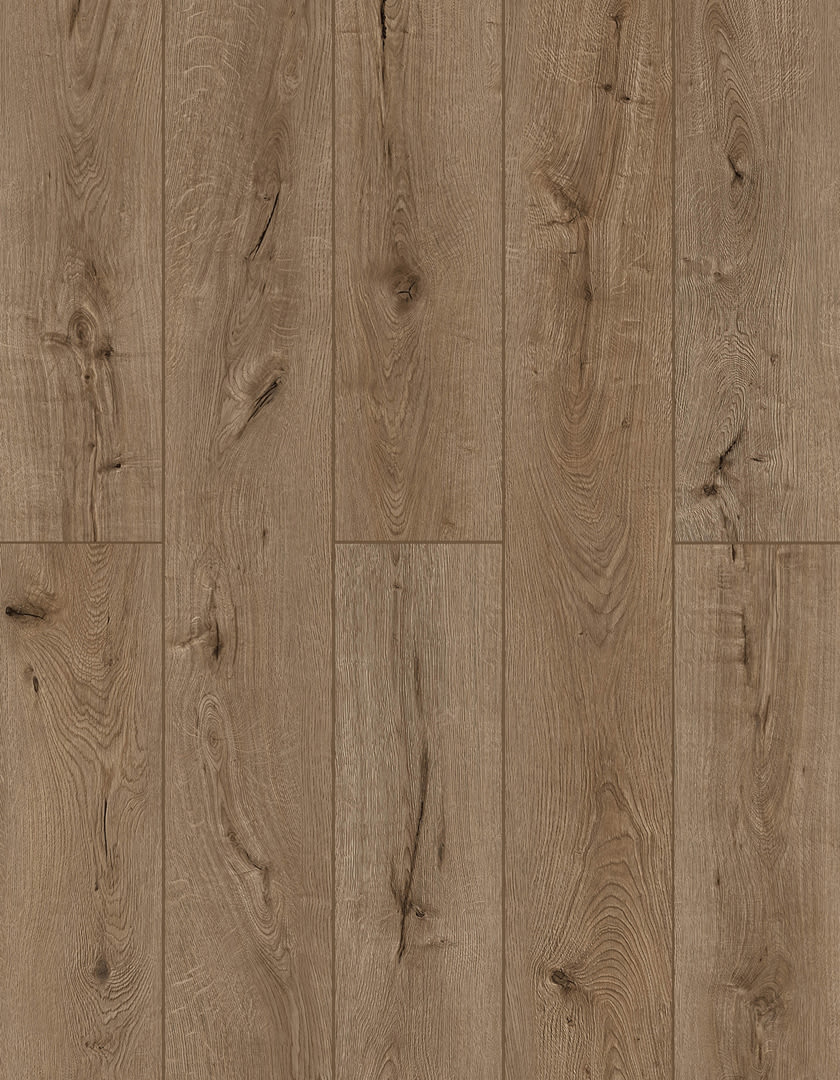 LI-TS205 - Lions Floor - Lone Star Spirit XL SPC - Forgotten Bark