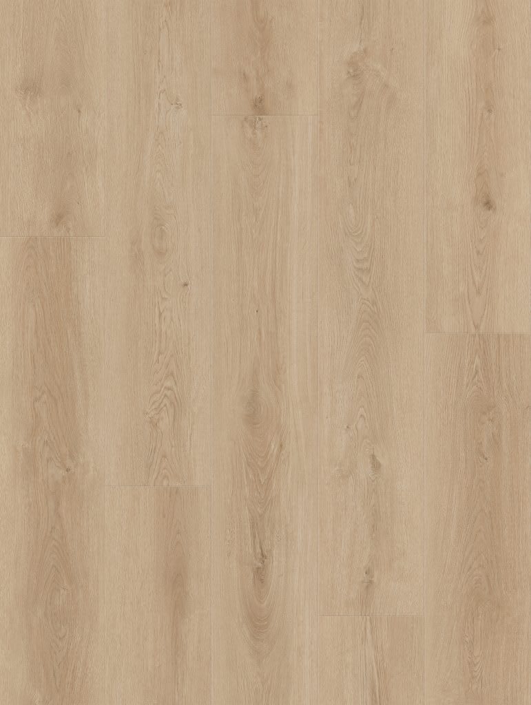 LI-CH02 - Lions Floor - Comfort Heights - Baywood Place