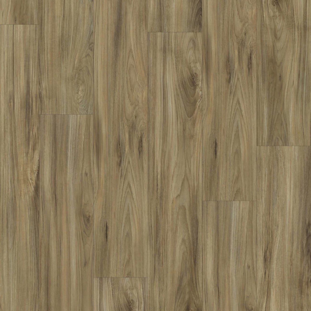 00405_2031V - Shaw Floorte Pro - Impact Plus - Whispering Wood