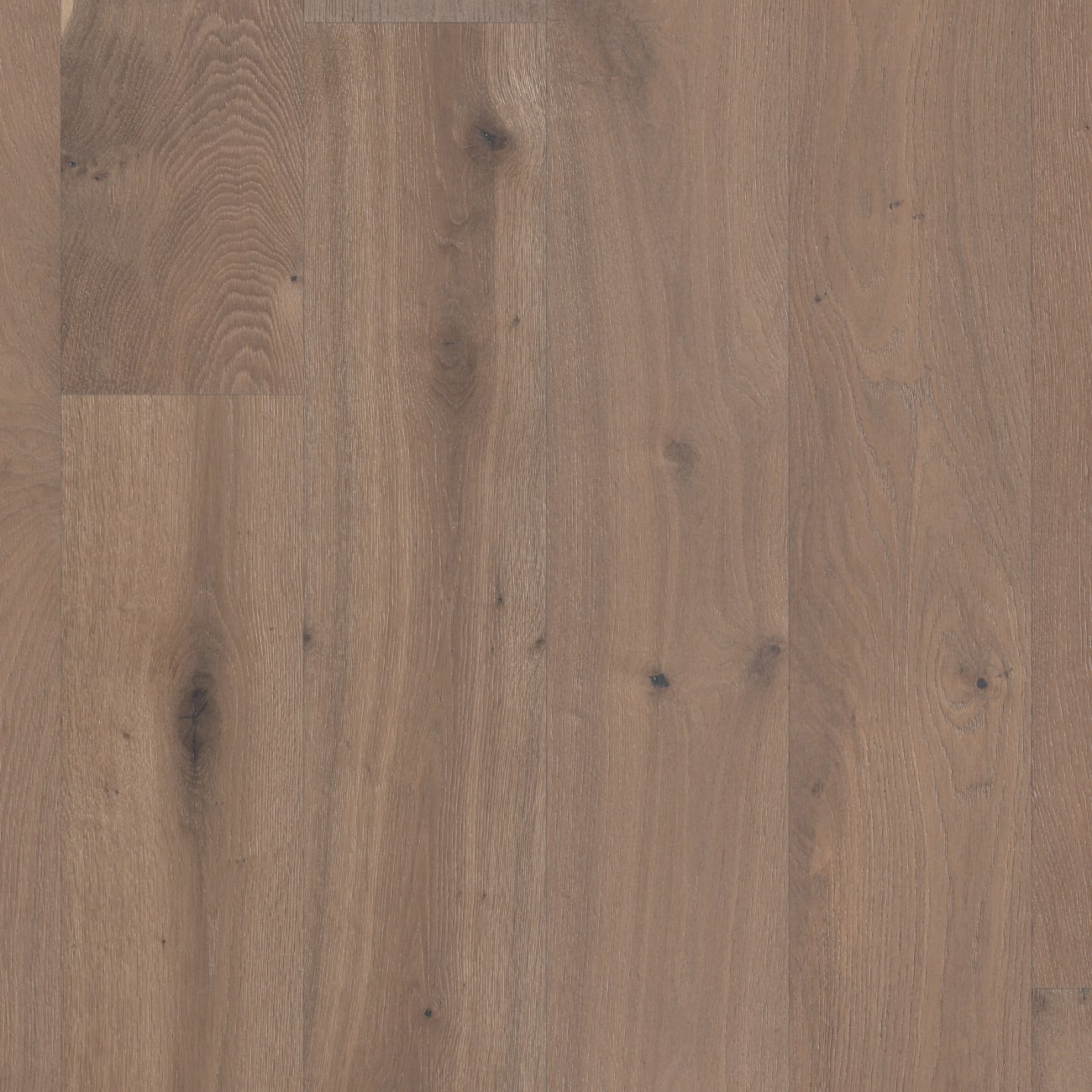 AA848-11099 - Anderson Tuftex - Metallics II - Platinum