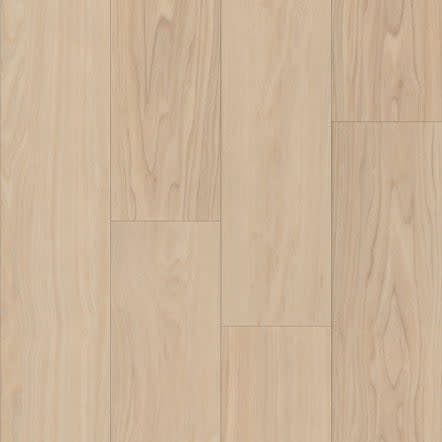 P1057-D7114 - TRUCOR - Bravo - Durand Ash