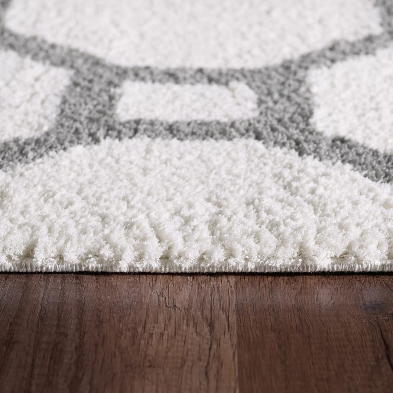 SI245903119 - Dynamic Rugs - SILKY SHAG - White Silver 5903-119 - 2' x 3.3'