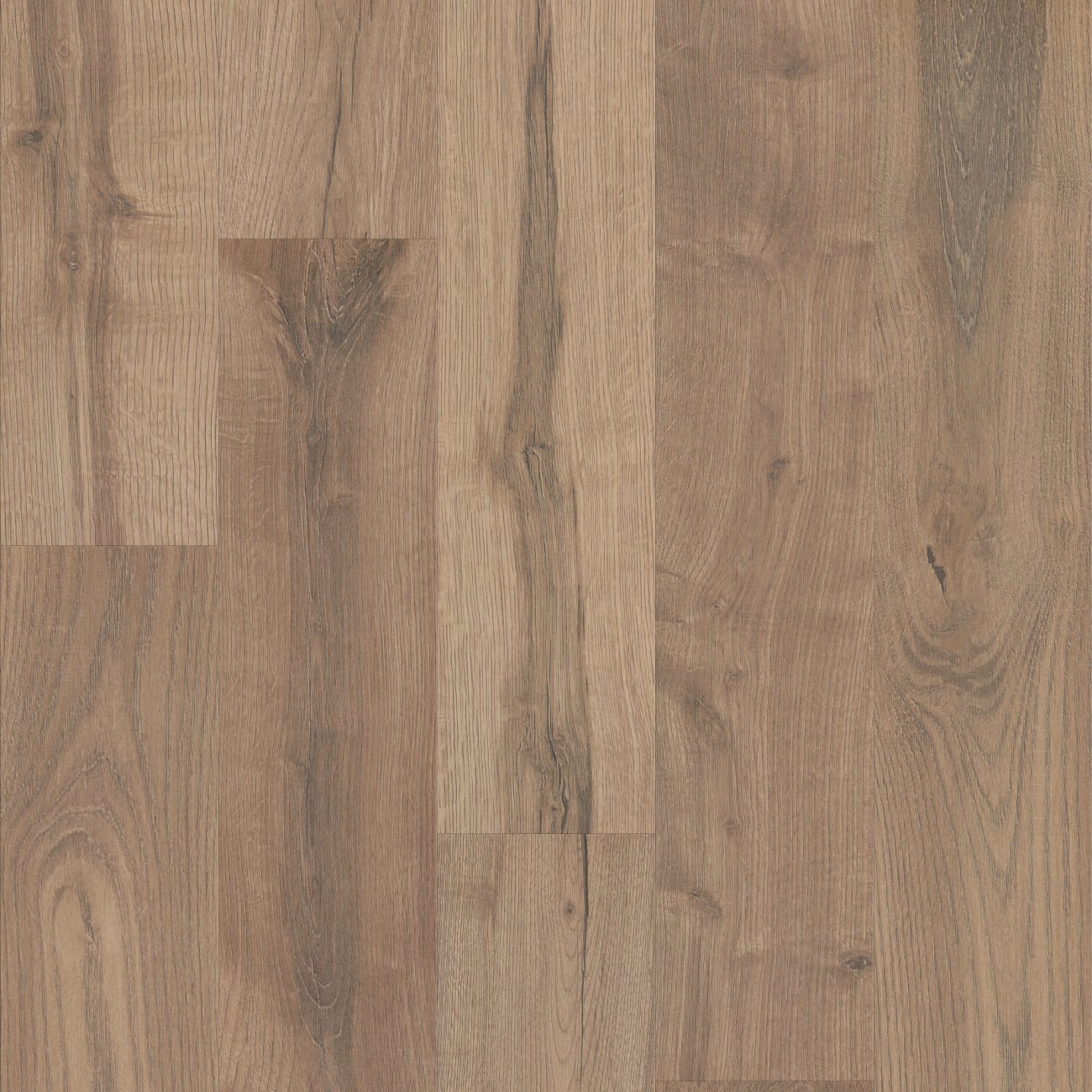 SL119_05063 - Shaw - Oak Grove - Stone Brown