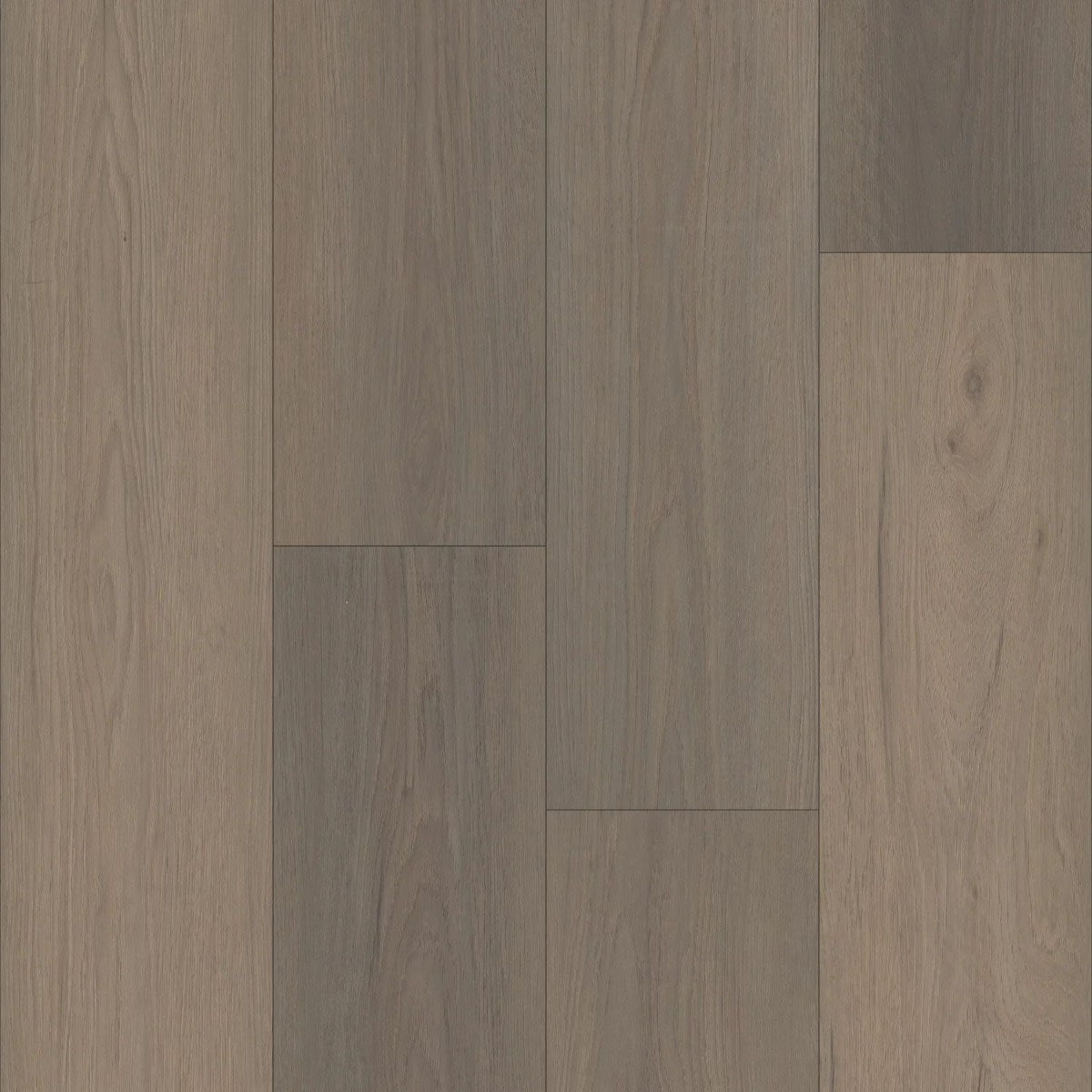 P2249-M3156 - TRUCOR® - Tymbr Select - Hilgard Oak