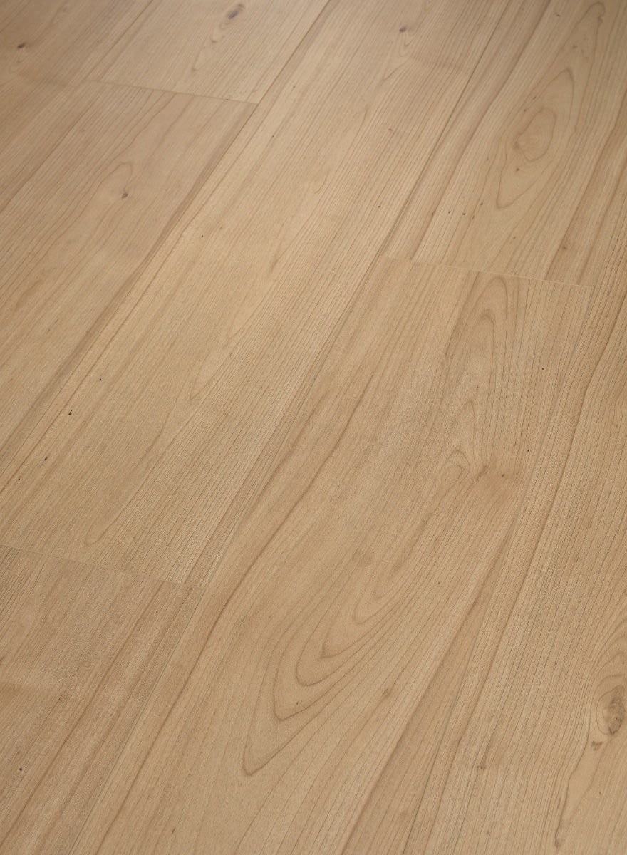 02025_2038V - Shaw Floorte Elite - Prodigy HDR Plus - Hygge
