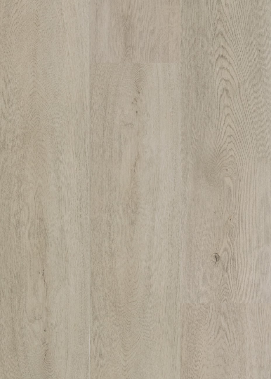AB22971GD20ML3M - Daltile ProSeries - Asher Bend Flexible Glue Down 3mm 20 mil - Villa