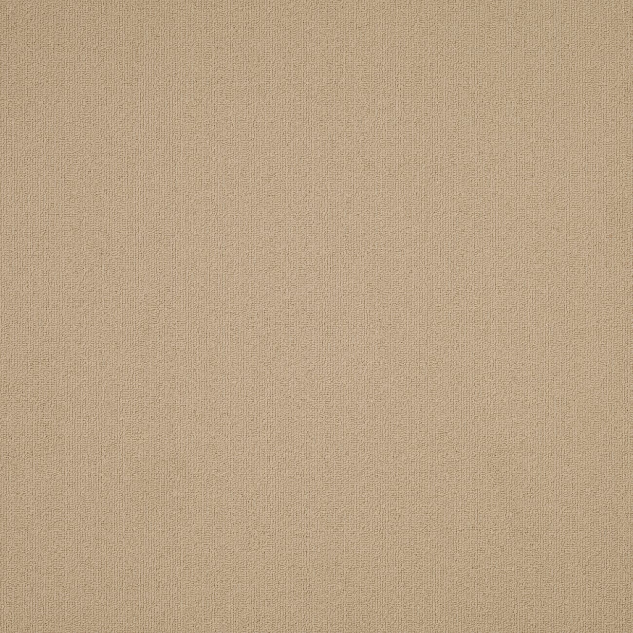 54462_62111 - Philadelphia Contract - Color Accents - Cornsilk