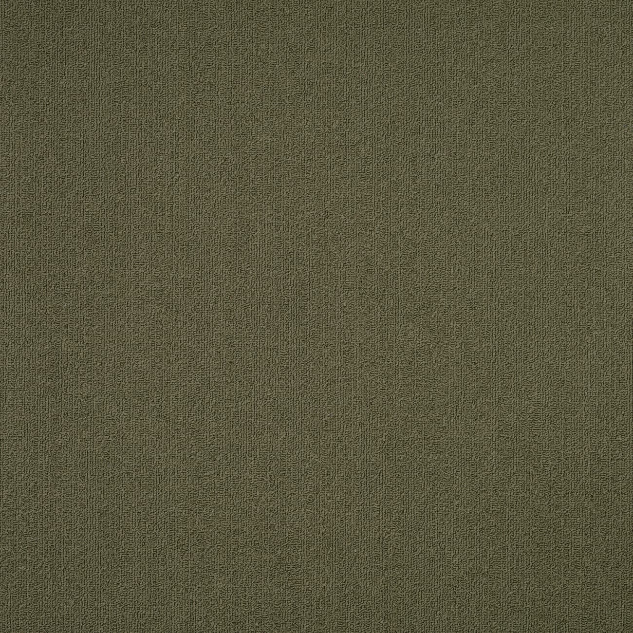 54462_62335 - Philadelphia Contract - Color Accents - Ivy