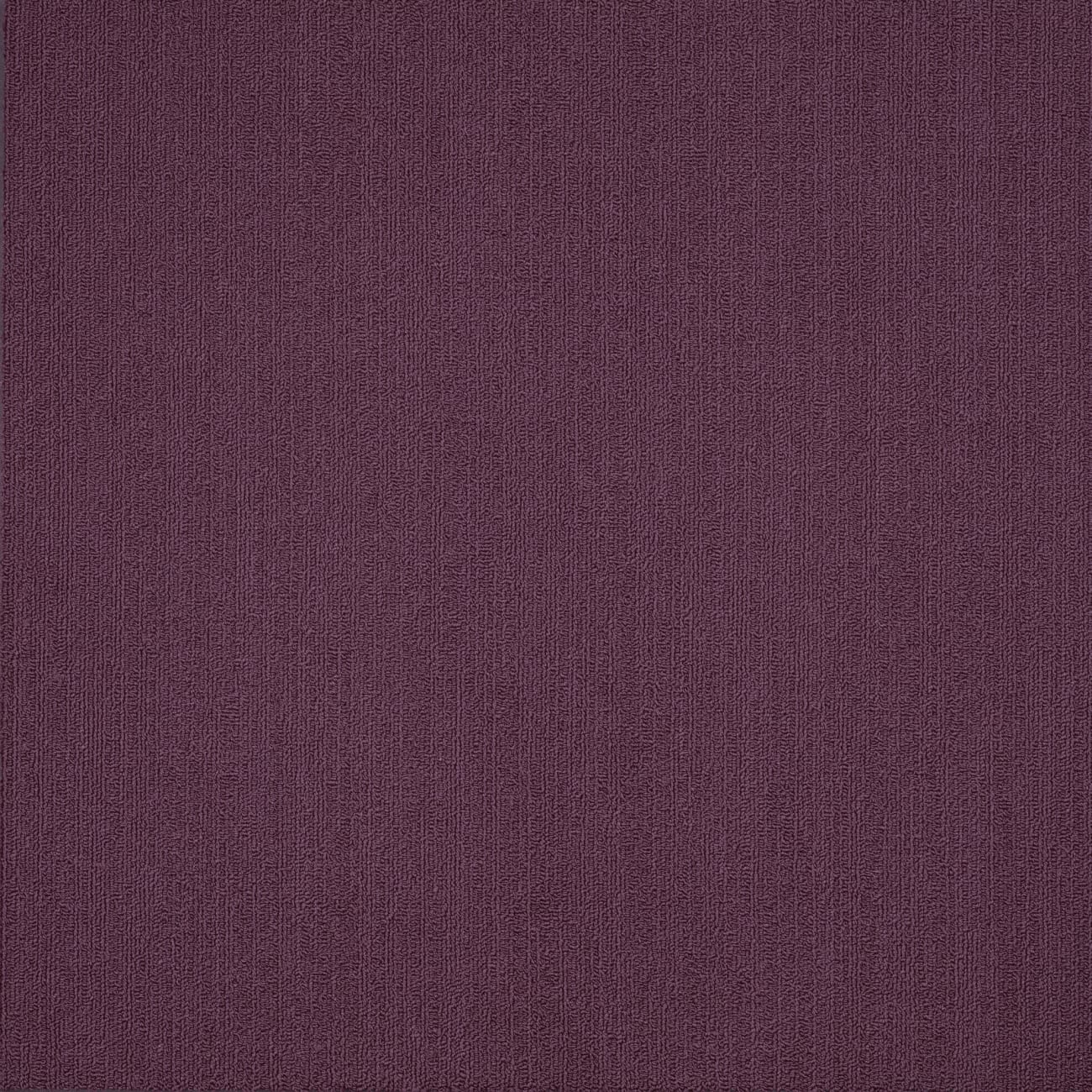 54462_62979 - Philadelphia Contract - Color Accents - Purple Heart