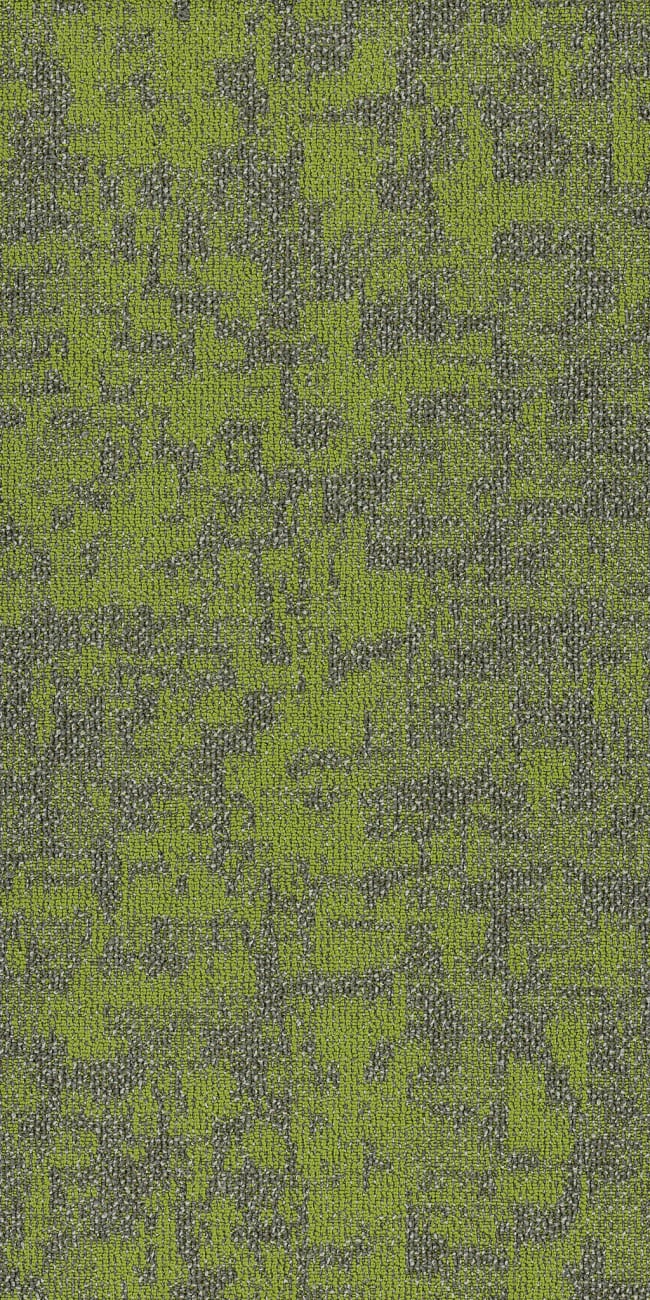 54848_00315 - Philadelphia Contract - Modern Terrain - Arid - Taiga