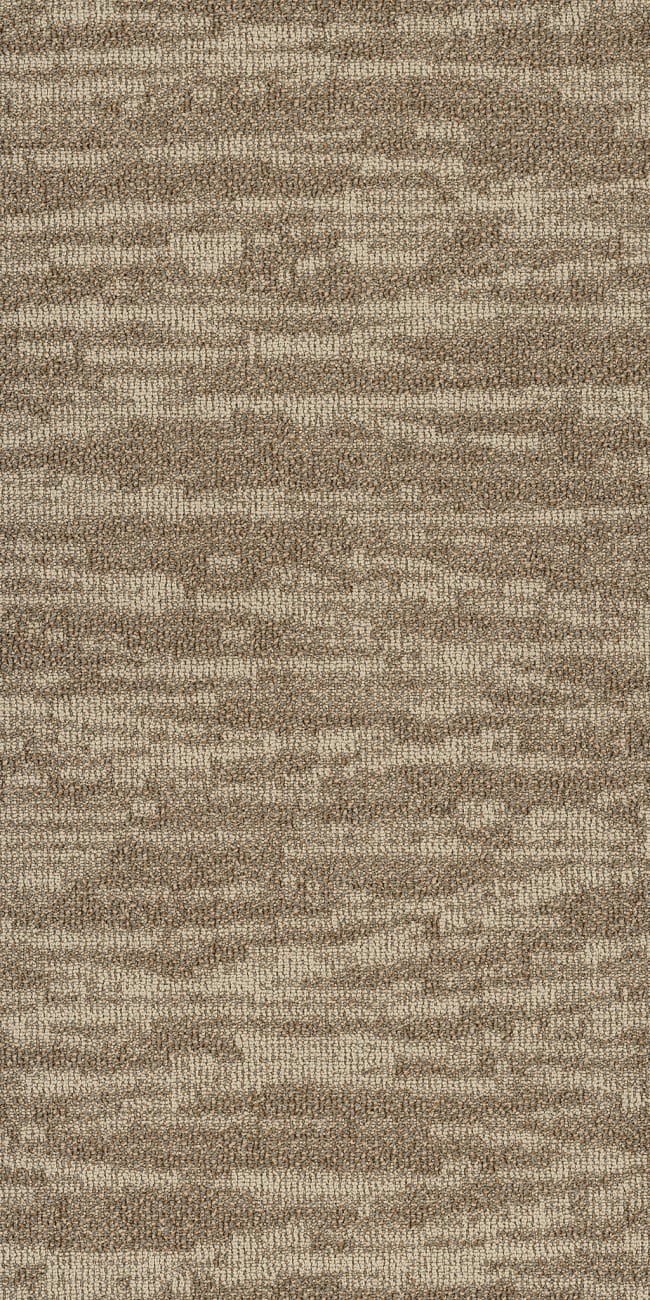 54849_00214 - Philadelphia Contract - Modern Terrain - Tidewater - Dunes
