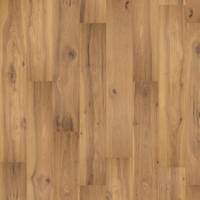 PSR09-03 - Nutshell Hickory