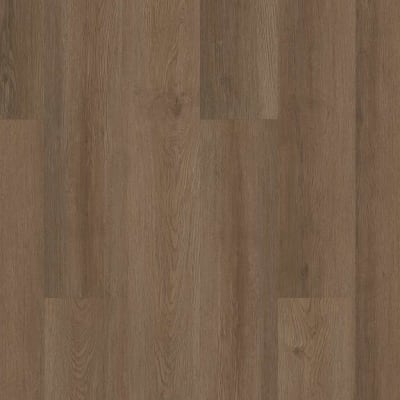 00825-3339V - Raw Sienna