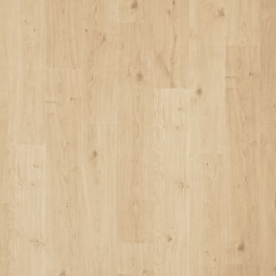 PSR06-01 - Preservation Oak