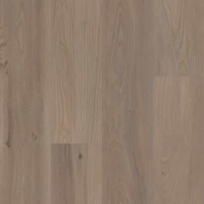 VV491-08009 - London Elm