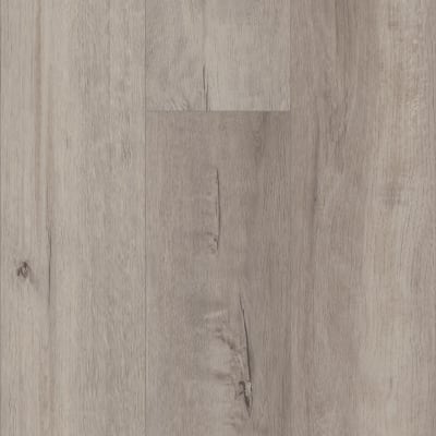 VV662-08002 - Grande Vista Oak