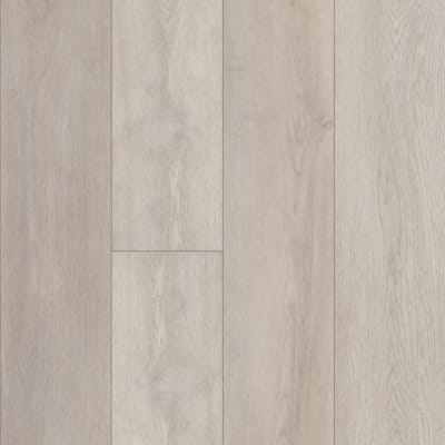 VV458-02706 - Spirit Oak