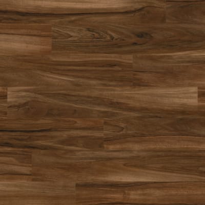 WP325 - Arrado