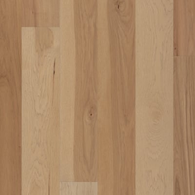 SW773-01156 - Spirit