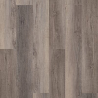 VV488-02097 - Berkshire Elm