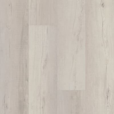 VV017-01018 - Quincy Oak
