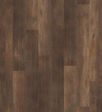 05019_5M304 - Thicket