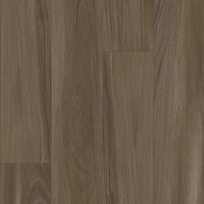 AH100-875 - Umber