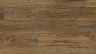 VV458-02701 - Reserve Oak