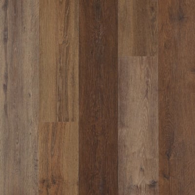 ECS21-822 - Shadow Woodlands