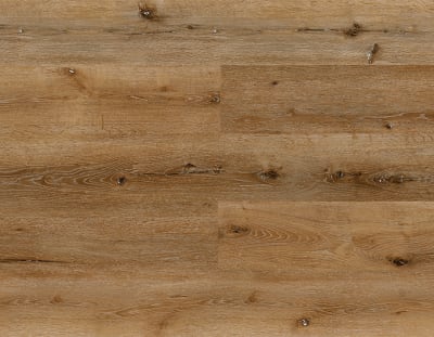 LI-NE201 - Sequoia