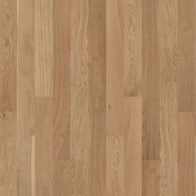 SW583-02012 - Hearst