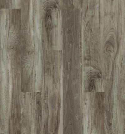 00568-5M304 - Sparrow