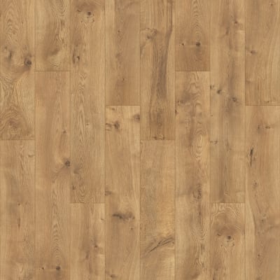 PSR10-152 - Canyon Oak