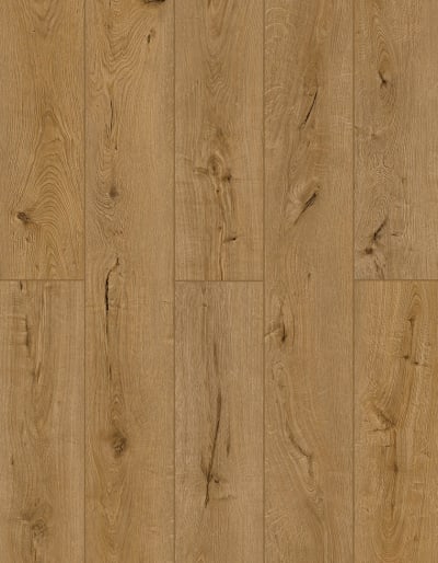 LI-TS203 - Oak Exotica