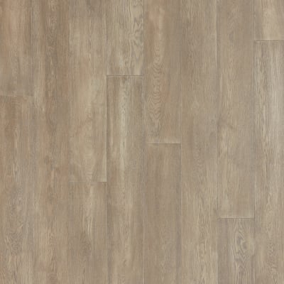 WEK05-28 - Coastal Fog Oak