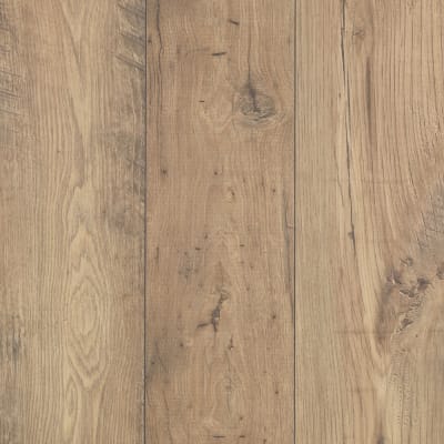 CDL74-1 - Fawn Chestnut