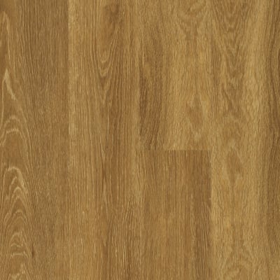 00256_5M303 - Reed