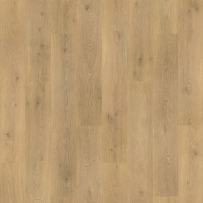 CDL05-248 - Tulip Shell Oak