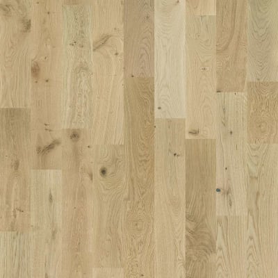 SW485-02047 - Dynasty