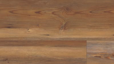 VV035-00913 - Appalachian Pine